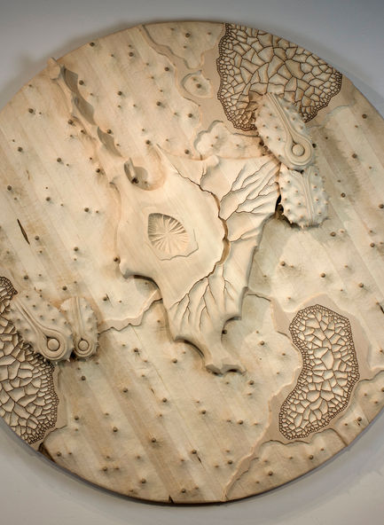 wood, wood art, woodworking, sculpture, wood sculpture, art, artwork, science art, installation, installation art, contemporary art, contemporary sculpture, cancer art, bio art, biological art, landscapes, relief sculpture