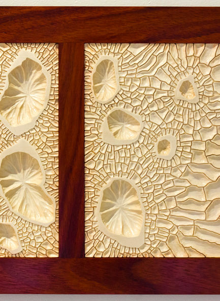 wood, wood art, woodworking, sculpture, wood sculpture, art, artwork, science art, installation, installation art, contemporary art, contemporary sculpture, cancer art, bio art, biological art, landscapes, relief sculpture