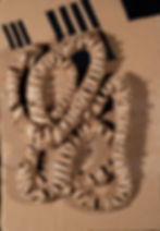 Cardboard Relief