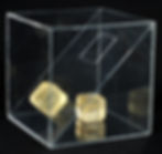 Encapsulation Project