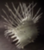 Intermediate Metal