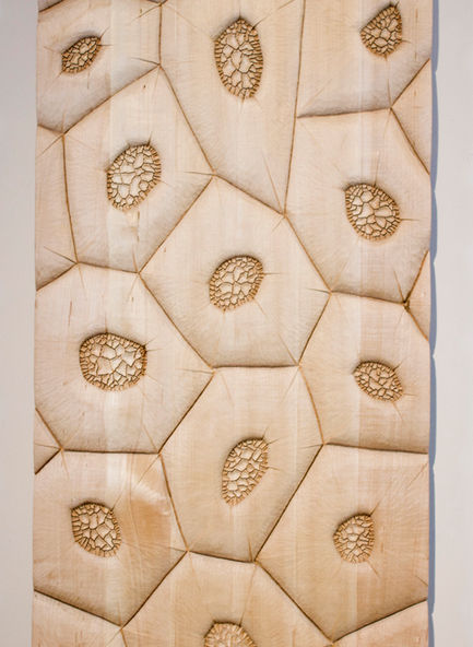 wood, wood art, woodworking, sculpture, wood sculpture, art, artwork, science art, installation, installation art, contemporary art, contemporary sculpture, cancer art, bio art, biological art, landscapes, relief sculpture