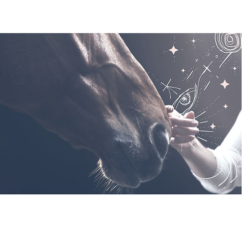 Untitled design (2)_edited.jpg