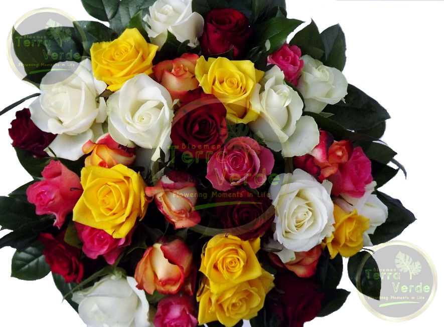 Thumbnail: Rose Mix