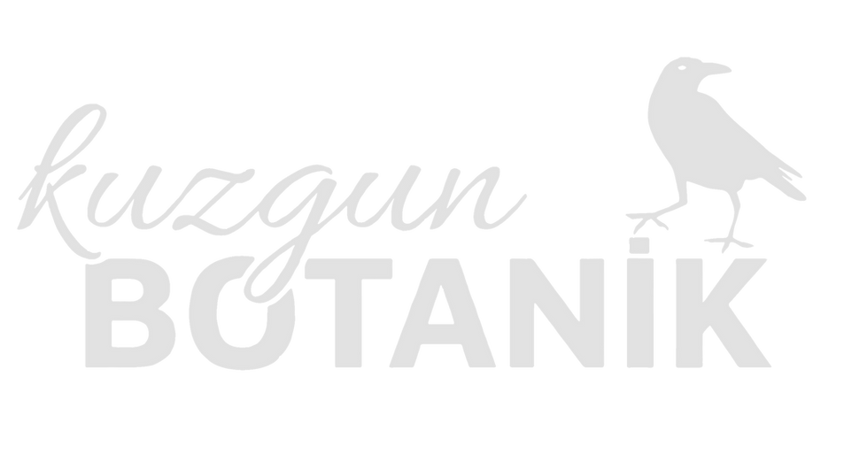kuzgunbotanikbaskıson1-Kurtarıldı_edited