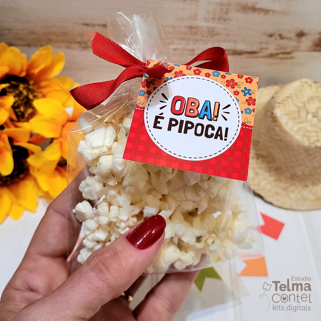 Kit Digital - Adesivos e tags - Festas Juninas