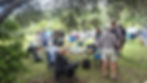 Annual BBQ, Shakespear Reserve 18 Feb 2026