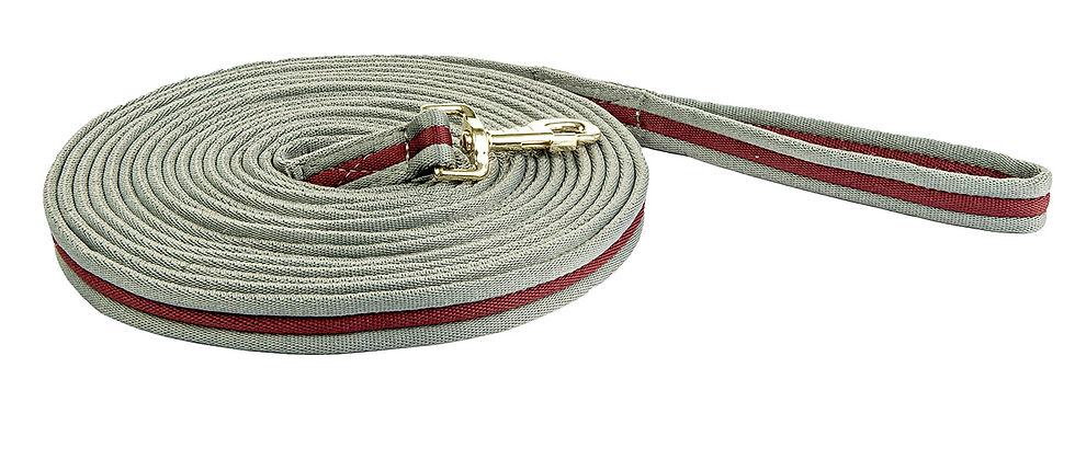 Thumbnail: Lunge Line Soft padded 8M