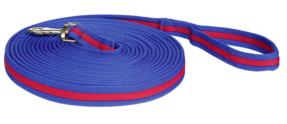 Thumbnail: Lunge Line Soft padded 8M