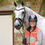 Thumbnail: Equisafety Charlotte Dujardin Mercury Riding Jacket
