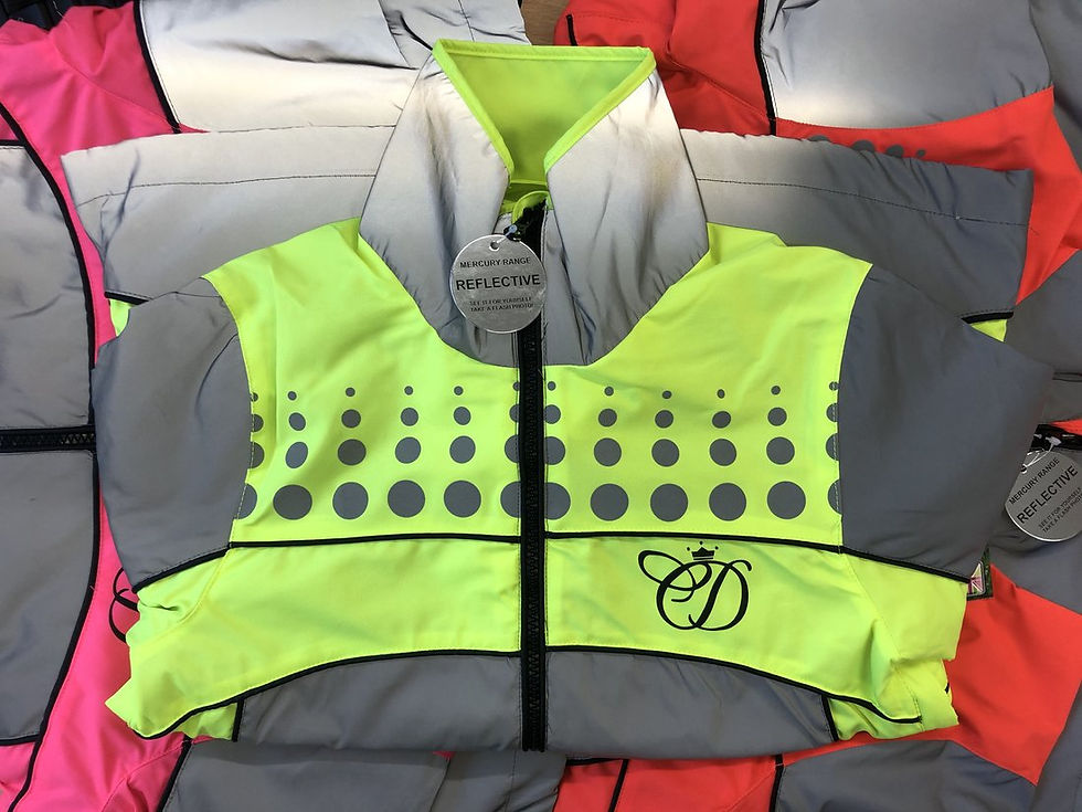 Thumbnail: Equisafety Charlotte Dujardin Mercury Riding Jacket