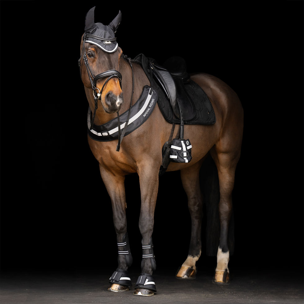 Thumbnail: IRH-Luminous Stirrup Toe Warmer – Stylish, Warm & Reflective