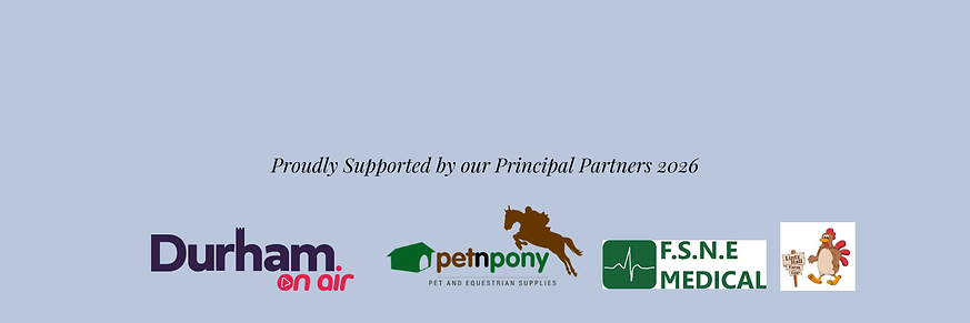 dcs web header 2026.png