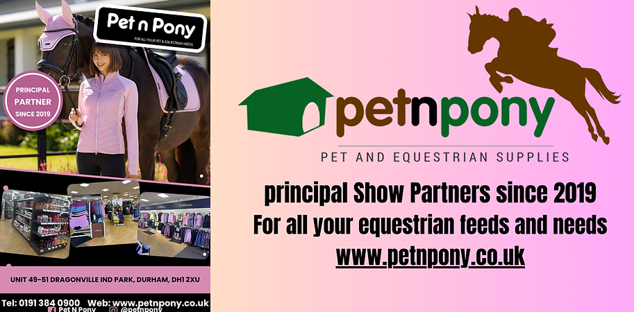 PETNPONY WEB AD.png