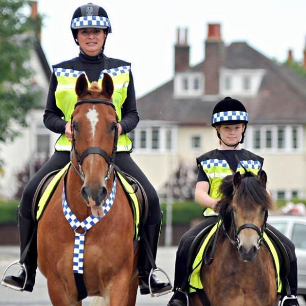 Thumbnail: POLITE Horse Waistcoat - Please Slow Down