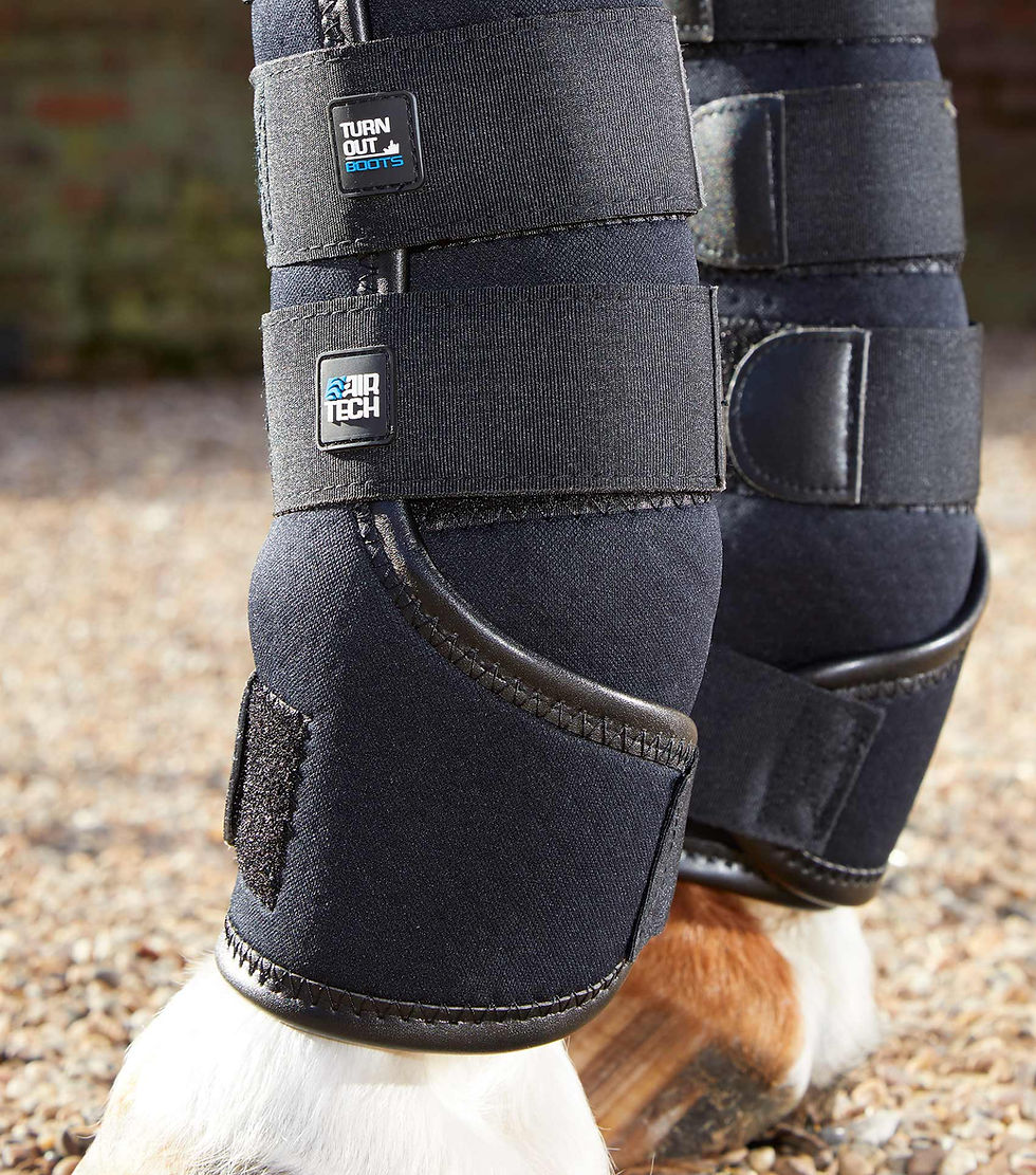 Thumbnail: Premier Equine Turnout  Boots
