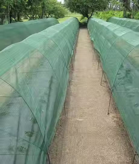 Fine Greenhouse Net.avif