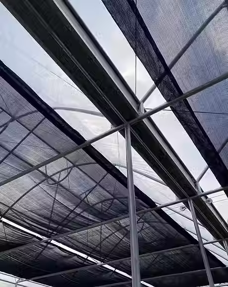 Shade Net.avif