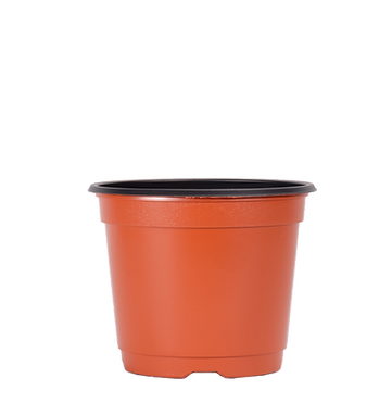 Korean pots 180mmx147mm terracotta.png