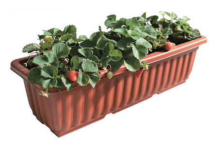 Bamboo Pattern Rectangular Pot (Brick) 2.png