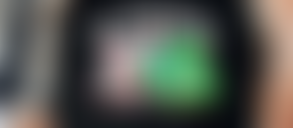 Oregon Ducks vs Liberty Flames 2024 Fiesta Bowl matchup shirt