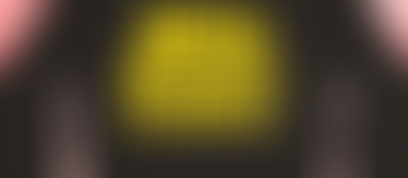 Seiu for Biden Harris 2024 shirt