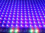 closeup-of-some-light-emitting-diodes-on-a-sign