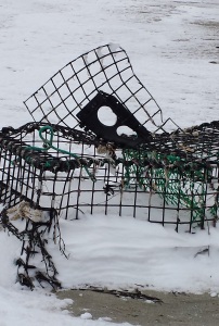lobster trap 1
