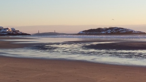 good harbor beach jan 2015 19