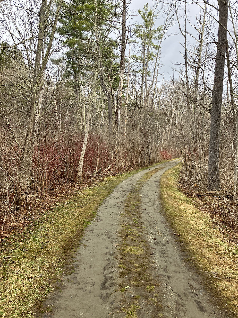The Activist & Artist in Residence program at Kripalu 