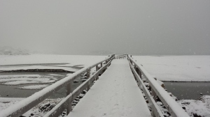 good harbor beach jan 2015 17