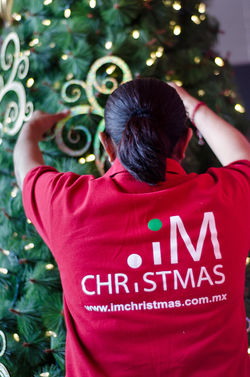 IM CHRISTMAS