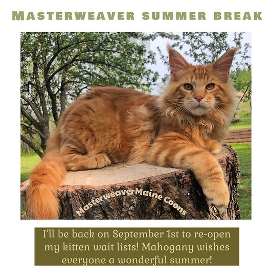 summer.jpg