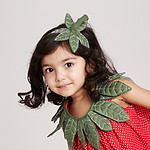 Strawberry Costume