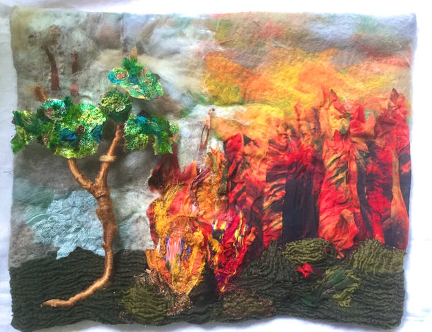 Claire Cooper-Walsh 'The Last Tree Standing'