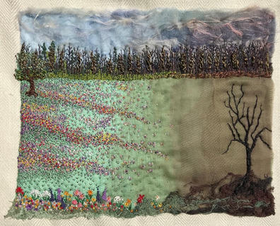 Sue Spence 'Where Has All The Meadows Gone'