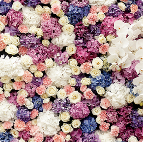 Plum Flowers Tension Backdrop