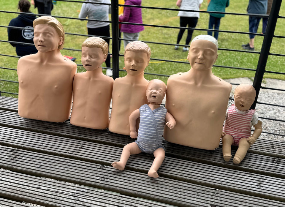 Adult and child CPR manikins set out for first aid training outdoors