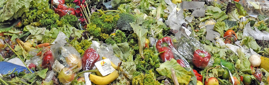 foodwaste-blog.jpg