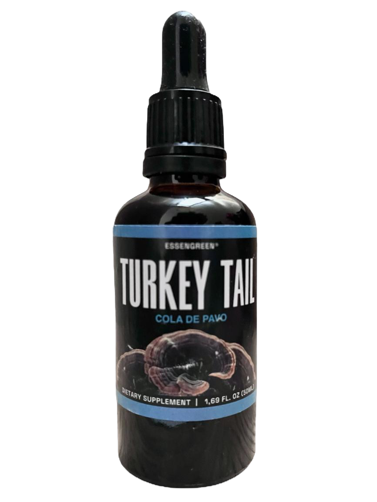 TURKEY_edited.png