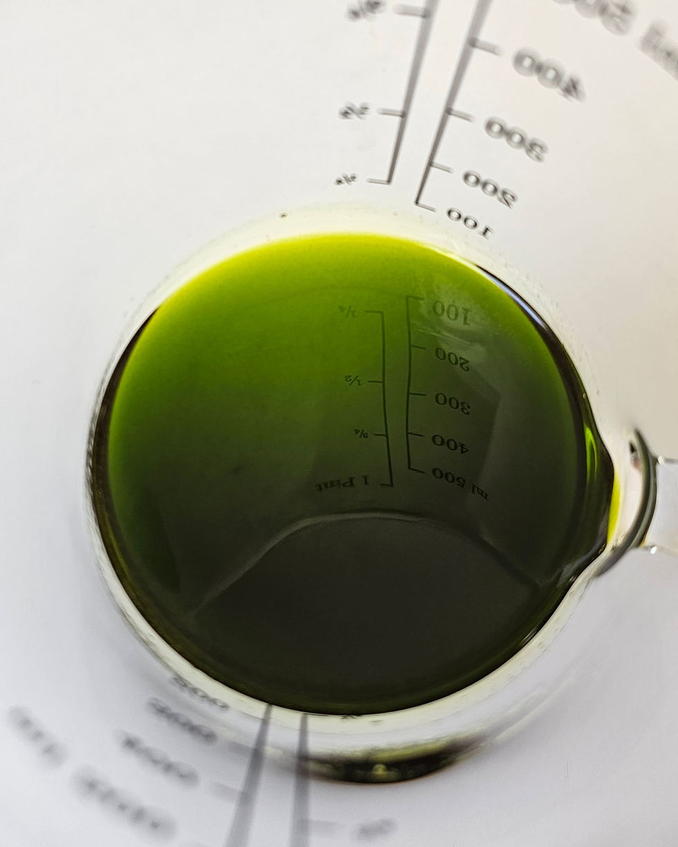health benefits olive oil polyphenols