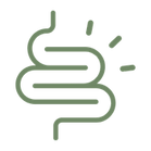 gut.png