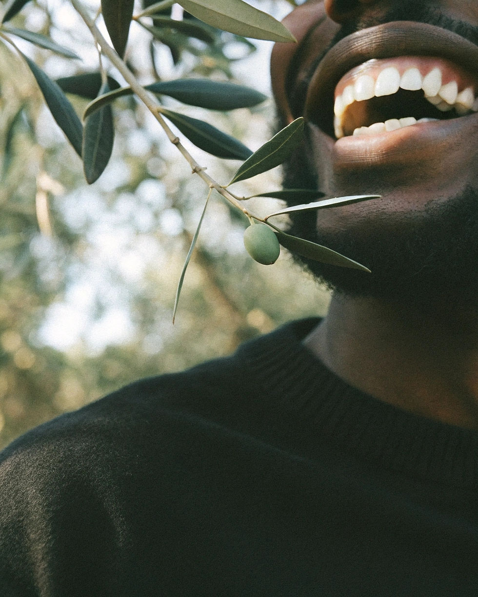olive oil polyphenols for oral health, how olive oil helps with gingivitis, oral health and oral microbiome