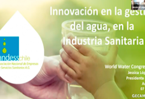 Presidenta de Andess expuso sobre innovación en la gestión del agua en la industria sanitaria en Water Congress 2021