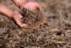 Economía circular contra la desertificación y la sequía
