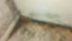Mould & Condensation