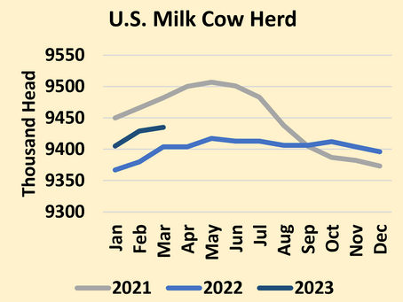 Milk, Dairy and Grain Market Commentary