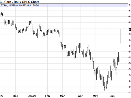 Milk, Dairy and Grain Market Commentary