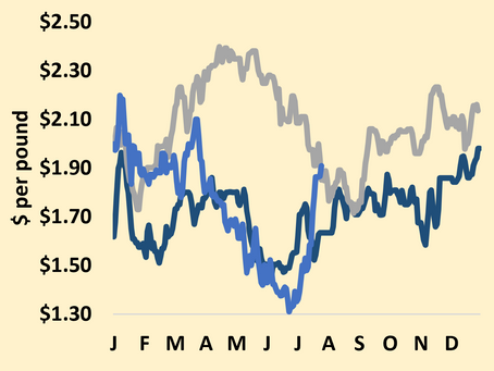 Milk, Dairy and Grain Market Commentary
