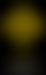 Differentiating the How You Teach Not the What